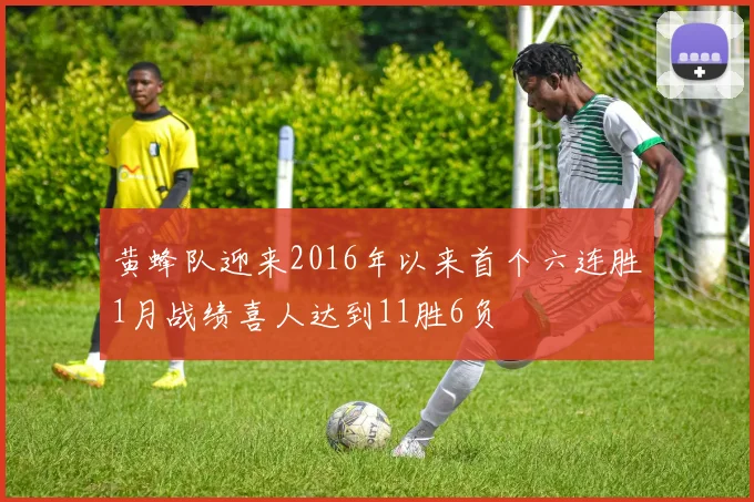 黄蜂队迎来2016年以来首个六连胜1月战绩喜人达到11胜6负