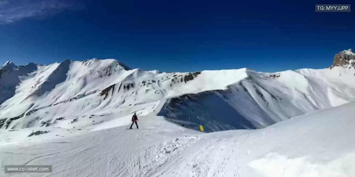 ⚡巅峰对决，心跳与欢呼同频！🏆